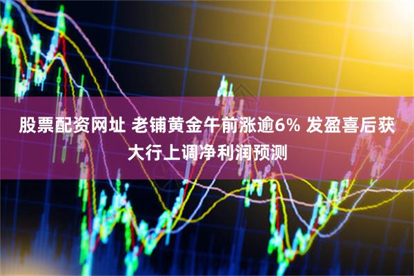 股票配资网址 老铺黄金午前涨逾6% 发盈喜后获大行上调净利润预测