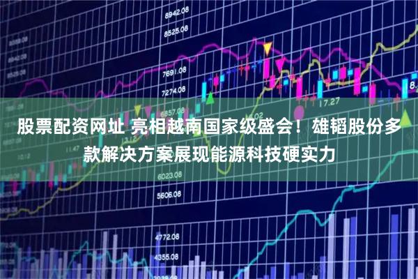股票配资网址 亮相越南国家级盛会！雄韬股份多款解决方案展现能源科技硬实力