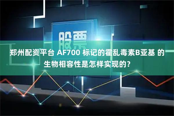 郑州配资平台 AF700 标记的霍乱毒素B亚基 的生物相容性是怎样实现的？
