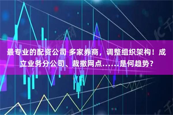 最专业的配资公司 多家券商，调整组织架构！成立业务分公司、裁撤网点……是何趋势？