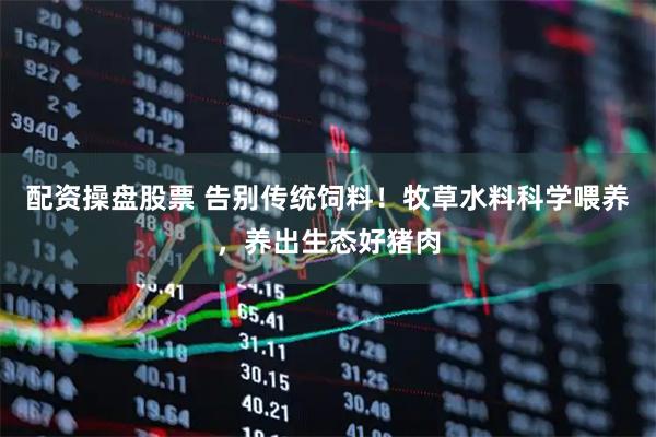 配资操盘股票 告别传统饲料！牧草水料科学喂养，养出生态好猪肉